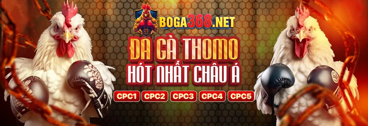 Mẹo chơi sòng bạc trực tuyến qc6672