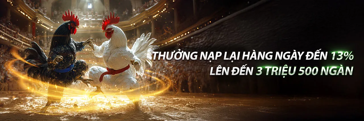 Đá gà trực tuyến kịch tính tại QC6672
