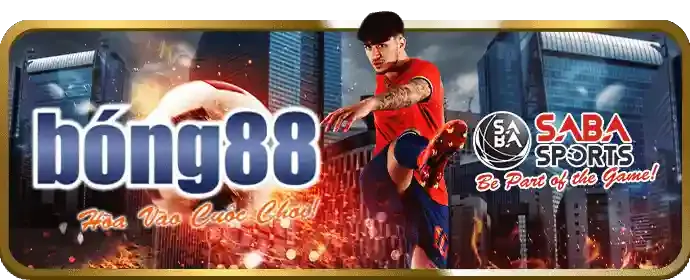 Đá gà trực tiếp QC6672